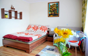 Гостиница Apartament KARINA, Тылич